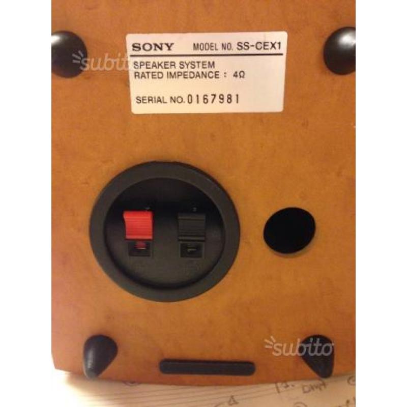 Amplificatore Sony MHC-2600 + Casse in Legno Sony